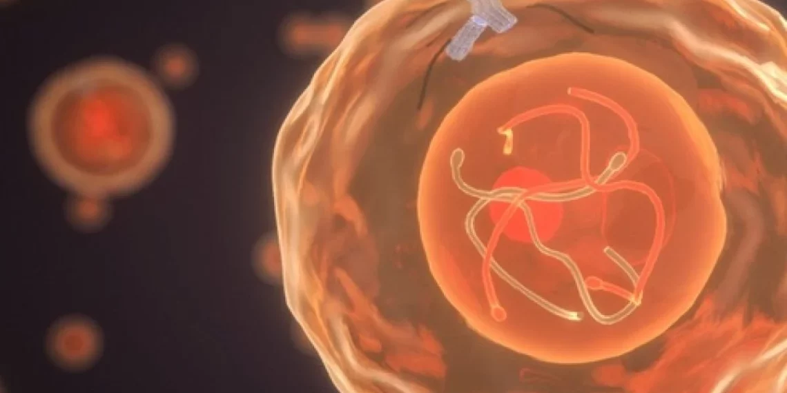 FoRx Therapeutics lève 50 millions de dollars pour faire avancer un nouveau traitement anticancéreux prometteur