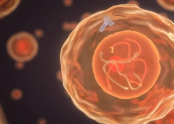 FoRx Therapeutics lève 50 millions de dollars pour faire avancer un nouveau traitement anticancéreux prometteur